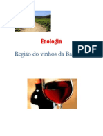 Enologia Vinhos da Bairrada.pdf