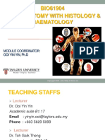 BIO61904 Basic Anatomy With Histology & Haematology: Module Coordinator: Ooi Yin Yin, PH.D