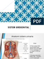 Anatomi Fisiologi Sistem Urogenital