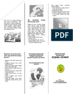 EDIT Leaflet Kejang Demam