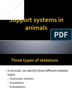 11 Support Systems in Animals