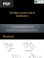 Betalactam Abiot