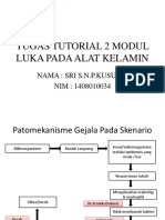 Tutorial Luka Pada Alat Kelamin (Aty)