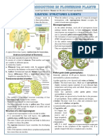 2 Sexual Reproduction in Flowering Plants -Notes