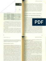 PAGÈS, J. La Mirada Externa PDF