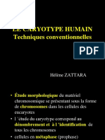 Caryotype TK Et Indications