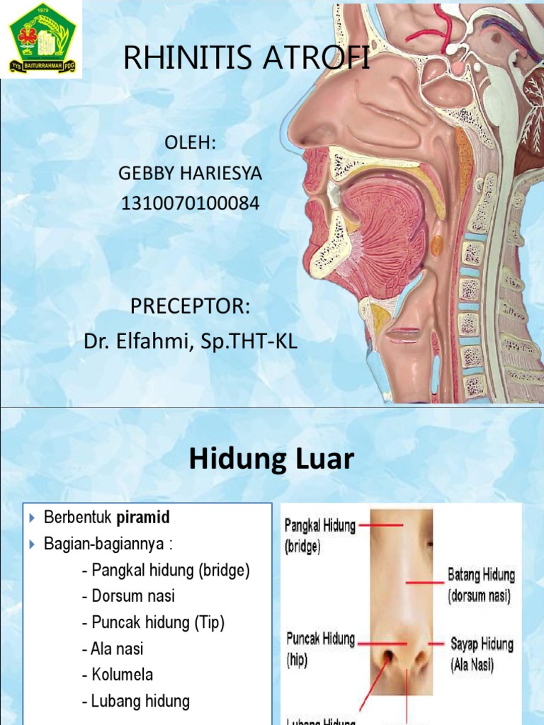 Penanganan Rhinitis Atrofi pada Hidung | PDF | Kajian Bahasa Asing ...