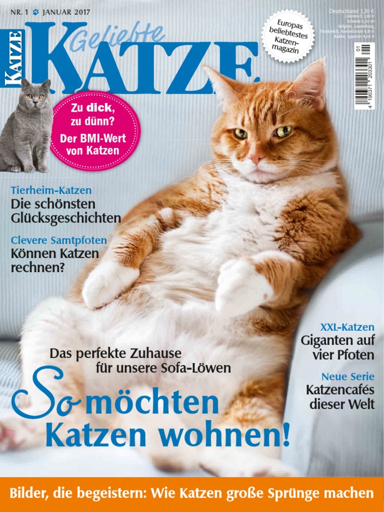 Menschen Lösungsschlüssel Arbeitsbuch A22 - 