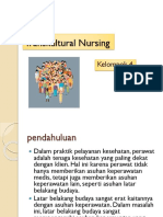 Transkultural Nursing