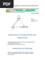 RNA Transcription and Translation