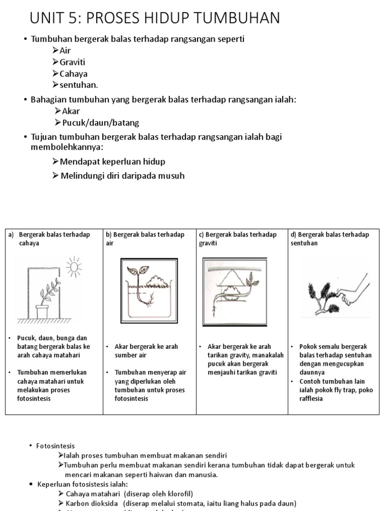 Unit 5 Pdf