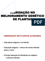 Hibridacao No Melhoramento Genetico Vegetal Alogamas PDF