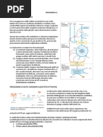 Biochimica II - Il Ciclo Dell'Acido Citrico