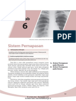 Sistem Pernapasan