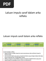 Bab 5 Arka Refleks Pdf