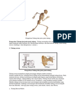 Istilah Antropologi Budaya