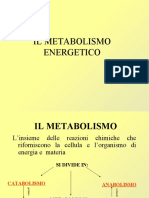 metabolismo_energetico.pdf
