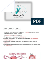 Cervix Anatomy and Cancer