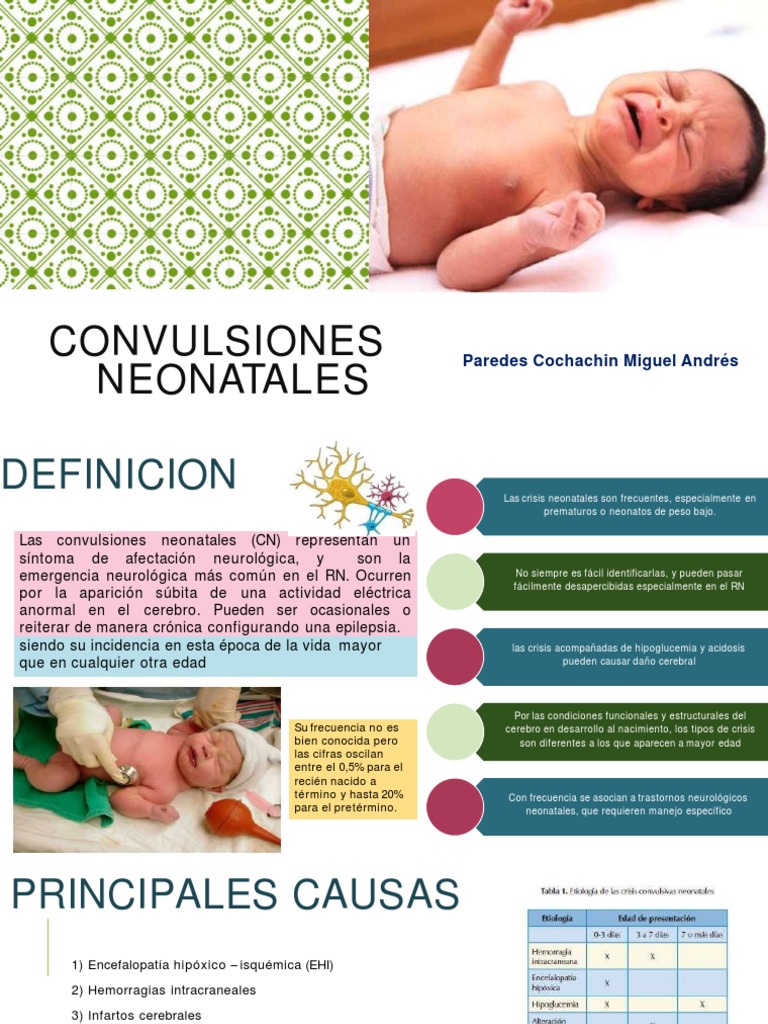 Convulsiones Neonatales: Causas y Manejo | PDF | Epilepsia | Sistema ...