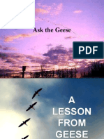 Ask The Geese (Devotional)