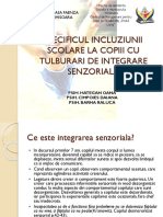 Specificul Incluziunii Scolare La Copiii Cu Tulburari de