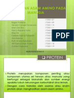 Protein Dan Asam Amino Pada Manusia