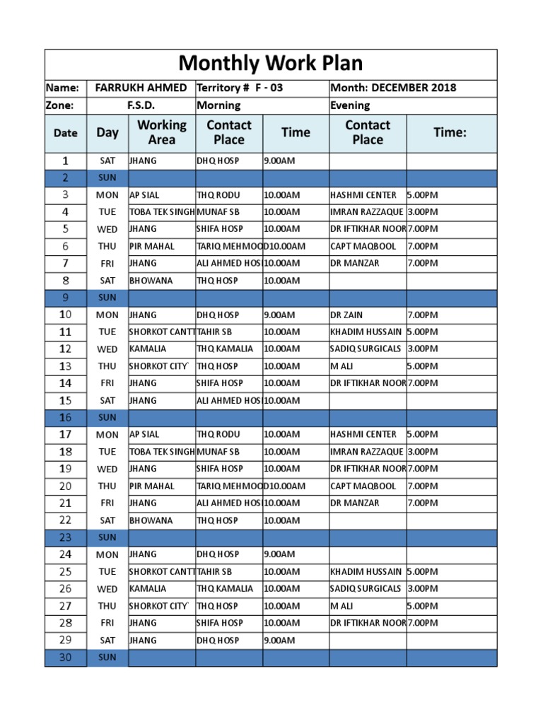 Monthly Work Plan: Day Time Time: Working Area Contact Place Contact ...