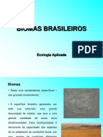 BIOMAS BRASILEIROS