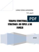 Studiu de Caz-Strategic + Structuralist