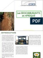 LesBiocarburantsEnAfriquetfc.pdf