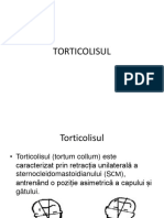 LP2_Torticolisul.pptx