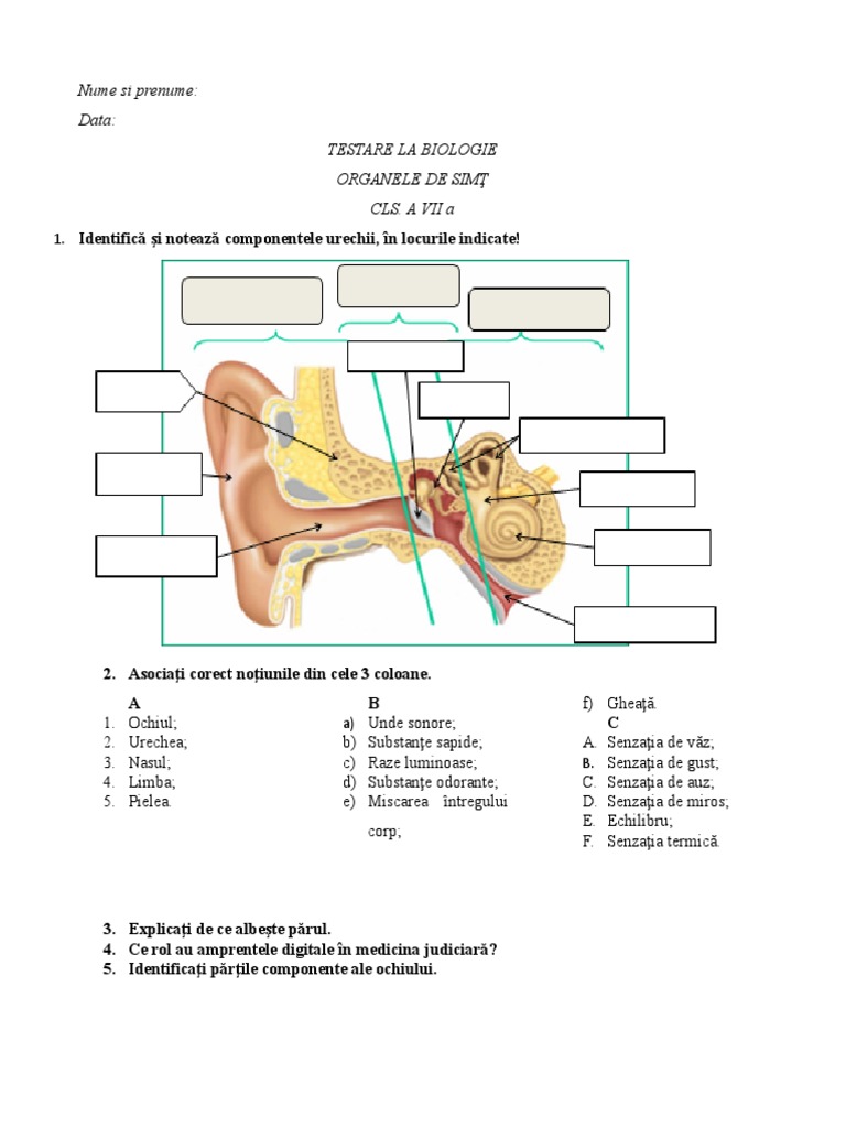0 Organe de Simt | PDF