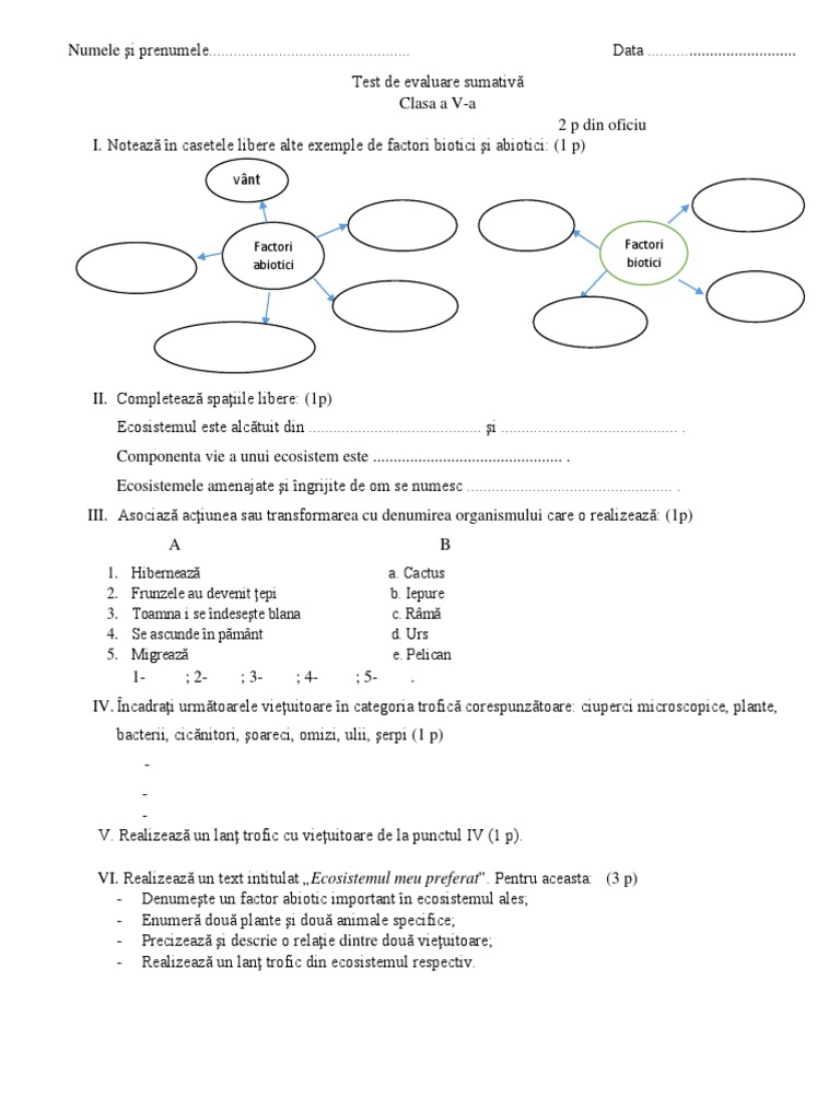 2 Test Clasa A Va | PDF