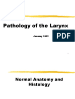 Larynx Path 2002 01 Slides