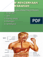 Biomedik 1 SISTEM PENCERNAAN U3 PDF