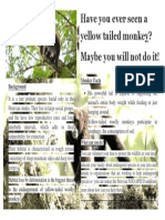 Have You Ever Seen A Yellow Tailed Monkey? Maybe You Will Not Do It!