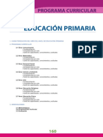 58579552-DCN-primaria.pdf