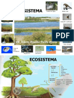 Ecosistemas acuáticos y terrestres