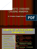 Parasitic Diseases Causing Anaemia: Dr. Tri Baskoro Tunggul Satoto, M.SC, PHD