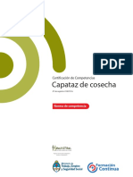 Capataz de Cítricos.pdf