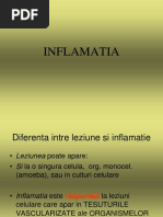 Inflamatia 2013