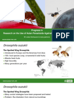 'Progress in Research On The Use of Asian Parasitoids Against Drosophila Suzukii', DR Lukas Seehausen, CABI, and Many Partners