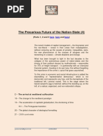 The Precarious Future of the Nation-State (4)