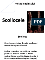 Diformitatile Rahisului