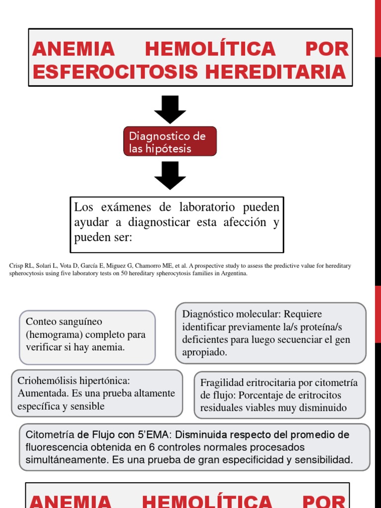 Anemia Hemolítica Por Esferocitosis Hereditaria ...