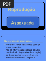 12º ano B2-reproduo-assexuada-2018-2019.docx