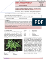 Phytochemical Studies on the Methanolic Extract of Coriander Sativum Leaves – An In Vitro Approach.pdf