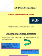 2.calidad de Carnes 2007