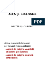 Bacterii Si Ciuperci