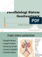 Patofisiologi Genitourinari